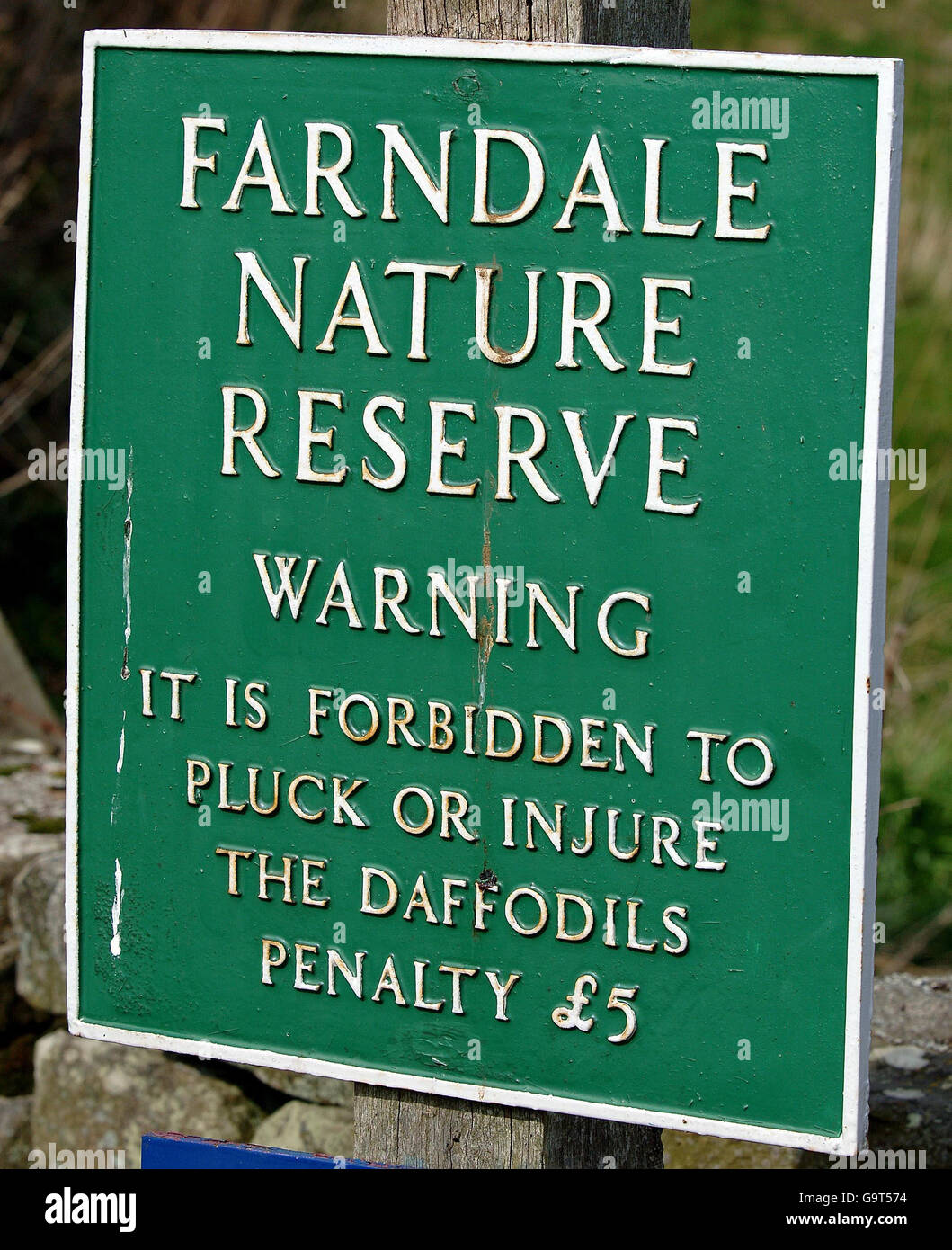 Eines der ungewöhnlichsten Zeichen, das man im Frühling in der britischen Landschaft sehen kann, dieses Schild in Farndale in North Yorkshire bittet die Tausenden Besucher, die die berühmte Narzissen-Ausstellung besuchen, nicht zu rauben oder zu beschädigen, sonst riskieren sie eine Geldstrafe von 5. Stockfoto