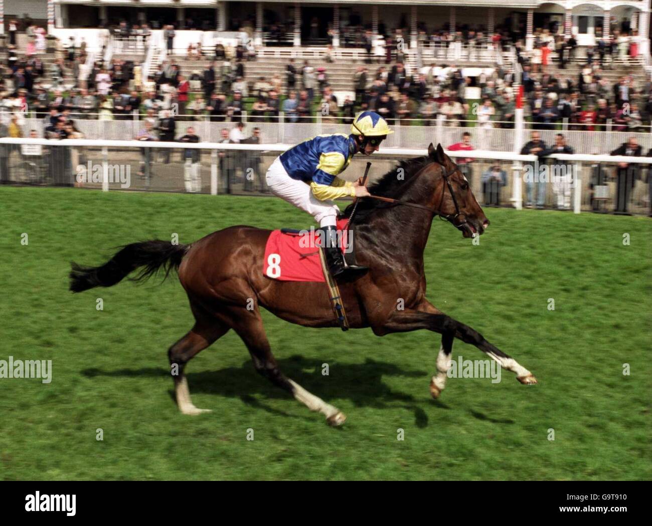 Pferderennen - York Races. Mick Hills auf Crimson Tide Stockfoto