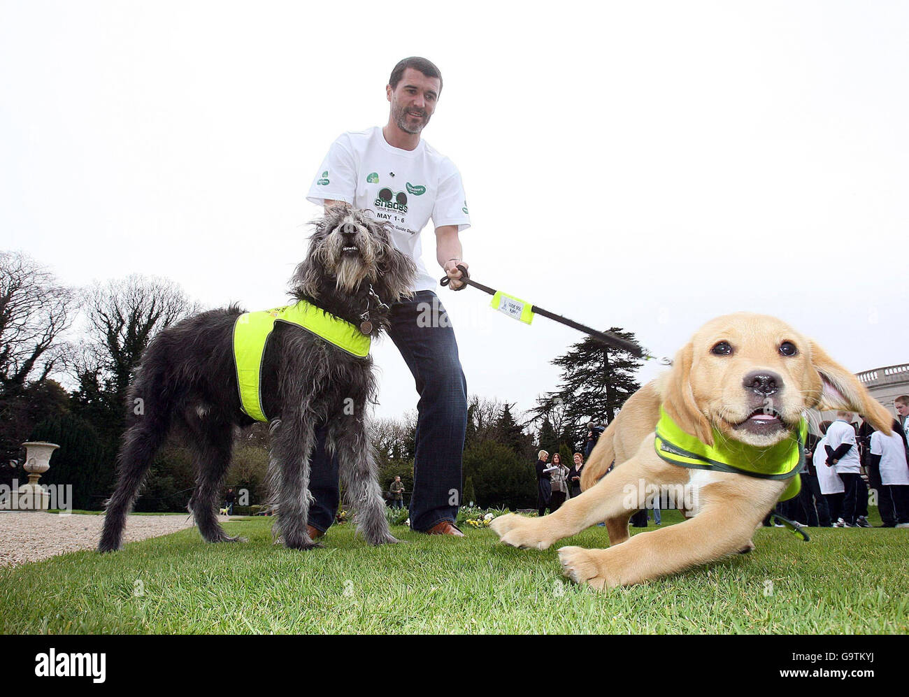 Roy Keane, ehemaliger Fußballspieler der Republik Irland und Manchester United, startet die Irish Guide Dogs für die Spendenaktion der Blinden 2007 im Radisson SAS St Helen's Hotel, Dublin, Irland. Im Bild hilft Keane die Kampagne zu starten und Neva (3 Monate alt Labradour), Yeats (10 Monate alt Labdoodle), Yogi und Ocean. Stockfoto