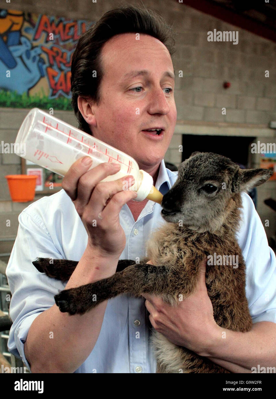 Der Vorsitzende der Konservativen Partei David Cameron füttert Pesg, das auf Walisisch Ostern ist, als das Lamm zu Ostern geboren wurde, auf der Amelia Trust Farm, Whitton Rosser, Five Mile Lane, Walterston, Barry, Das Gal of Glamorgan. Stockfoto