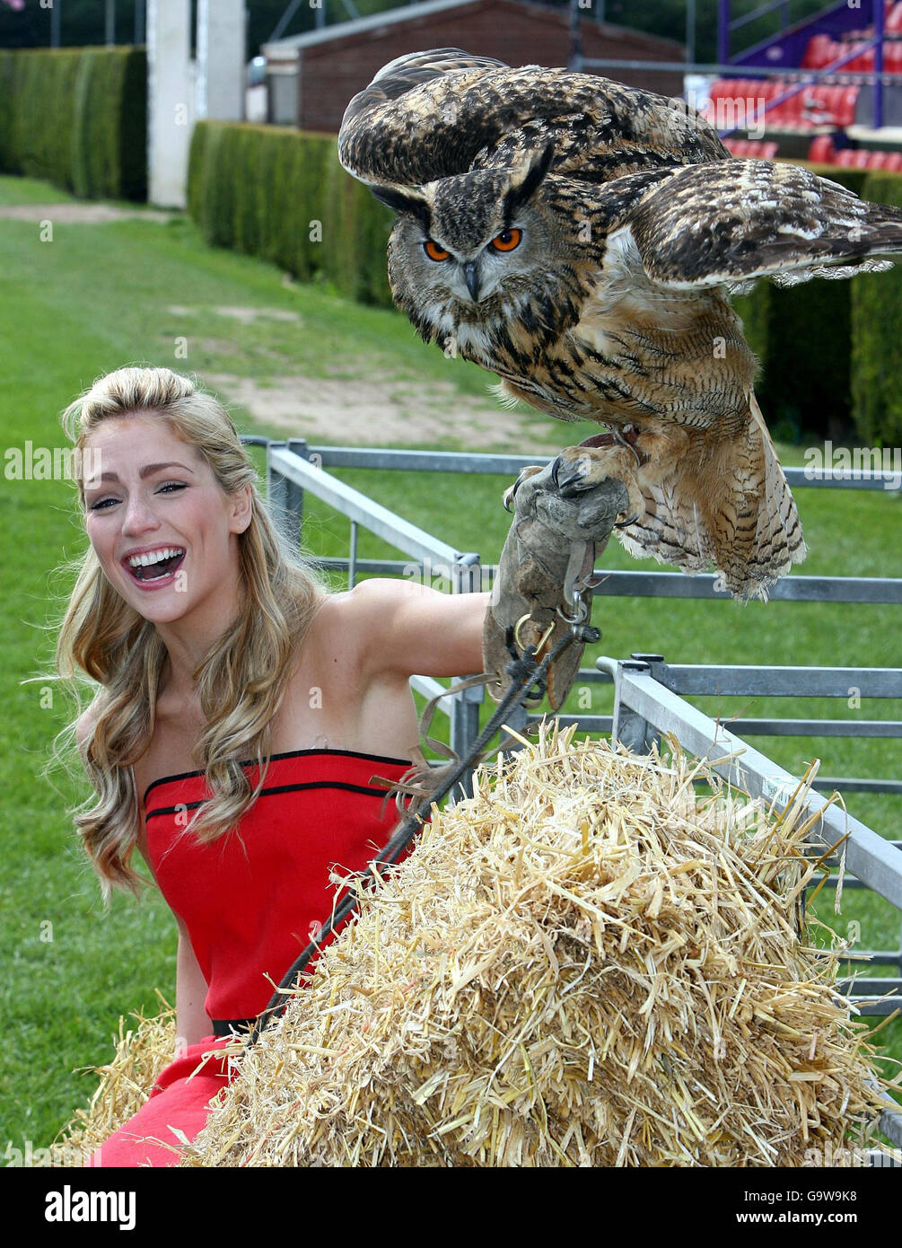 Balmoral Landwirtschaftsausstellung Stockfoto