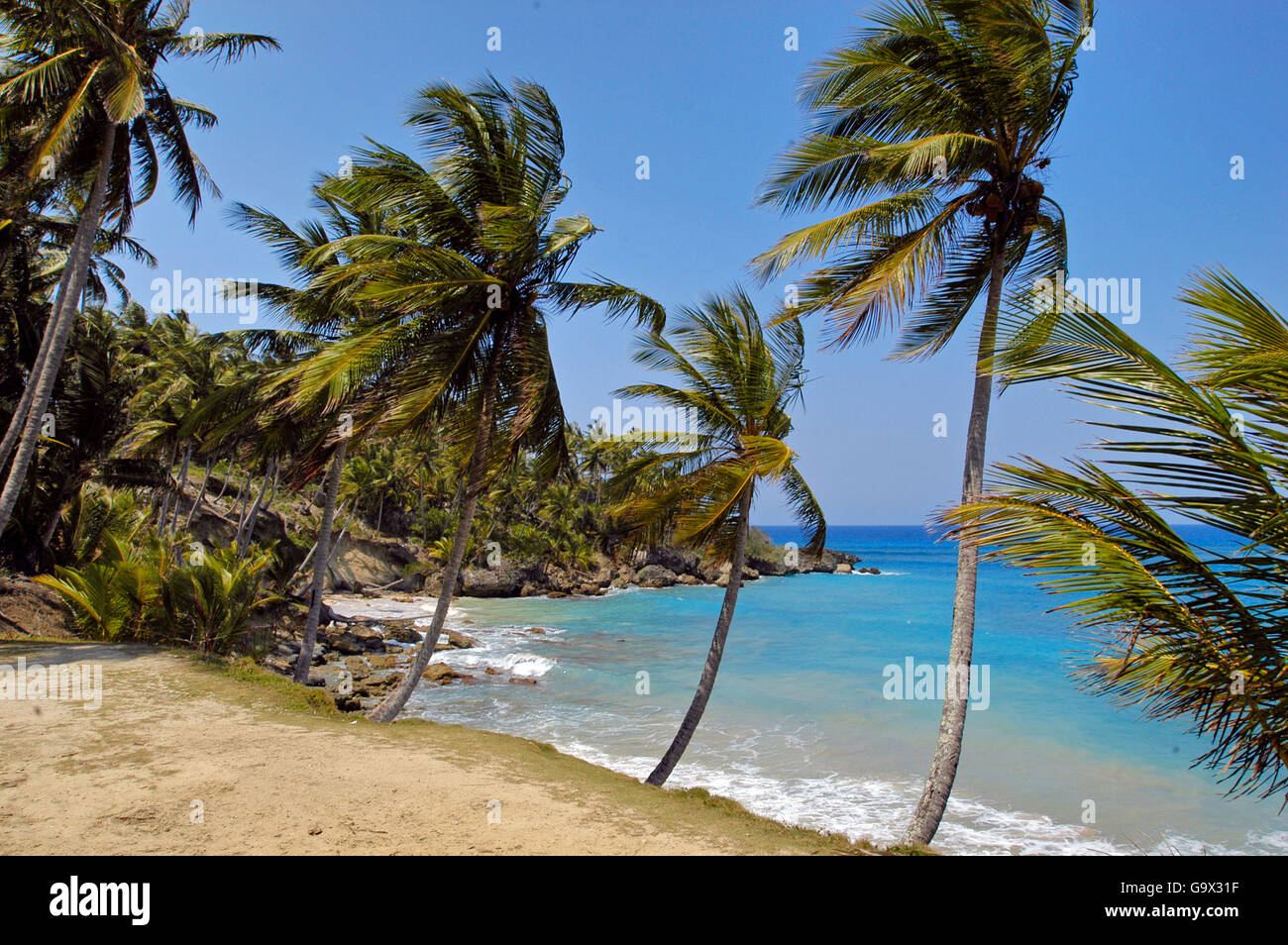 Strand, Küste, Insel von Hispaniola, Sosua, Dominikanische Republik, Karibik, Amerika Stockfoto