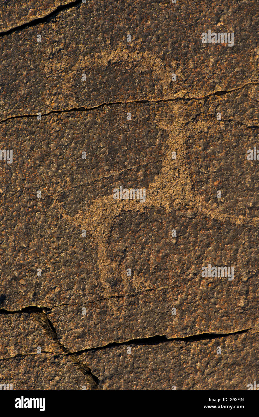 Tierische Petroglyphen zwischen 5.000-15.000 Jahren Wüste vor Jahren Khavtsgait Petroglyph Berg, Gobi, Govi Gurvan Saikhan N Stockfoto