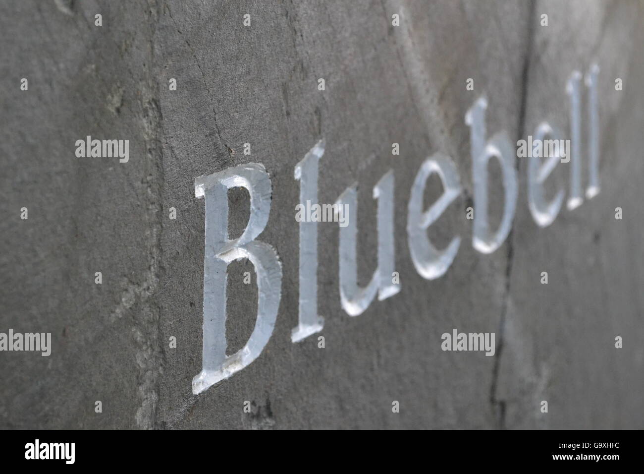Ein Westmorland Schiefer, Stein Zeichen mit dem Wort Bluebell in weißen letterering Stockfoto