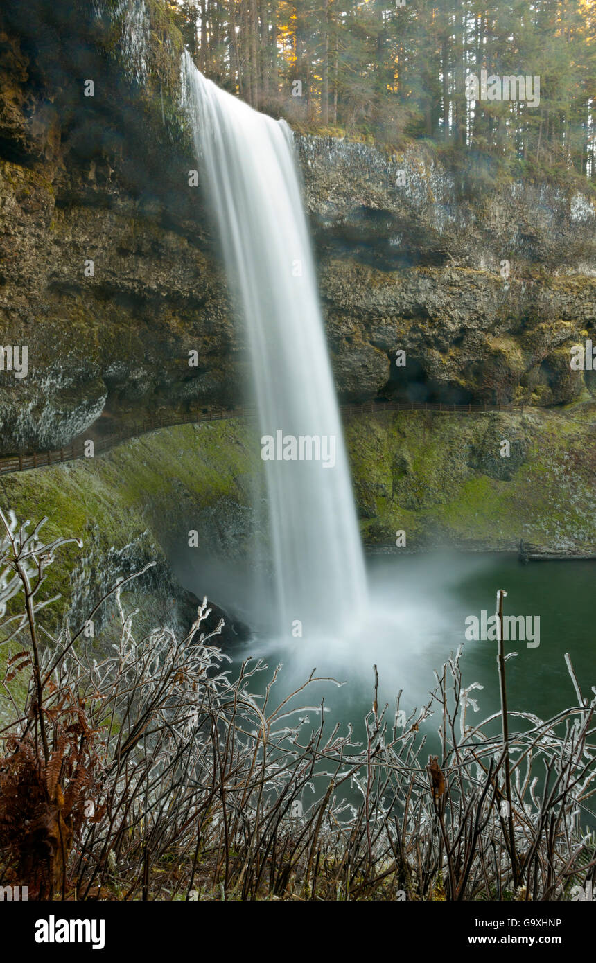 Süden fällt der South Fork Silver Creek, Silver Creek Falls State Park, Oregon, USA. Dezember 2014. Stockfoto