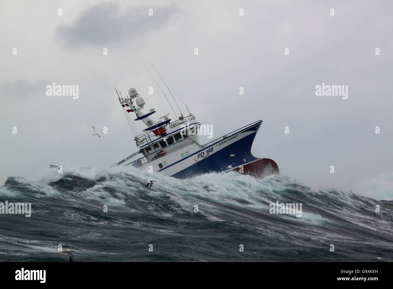 Fischereifahrzeugs&#39; Ocean Harvest &#39; Reiten stürmischem Wetter an der Nordsee, Januar 2014. Alle nicht-redaktionelle Verwendungen muß einzeln beendet werden. Stockfoto