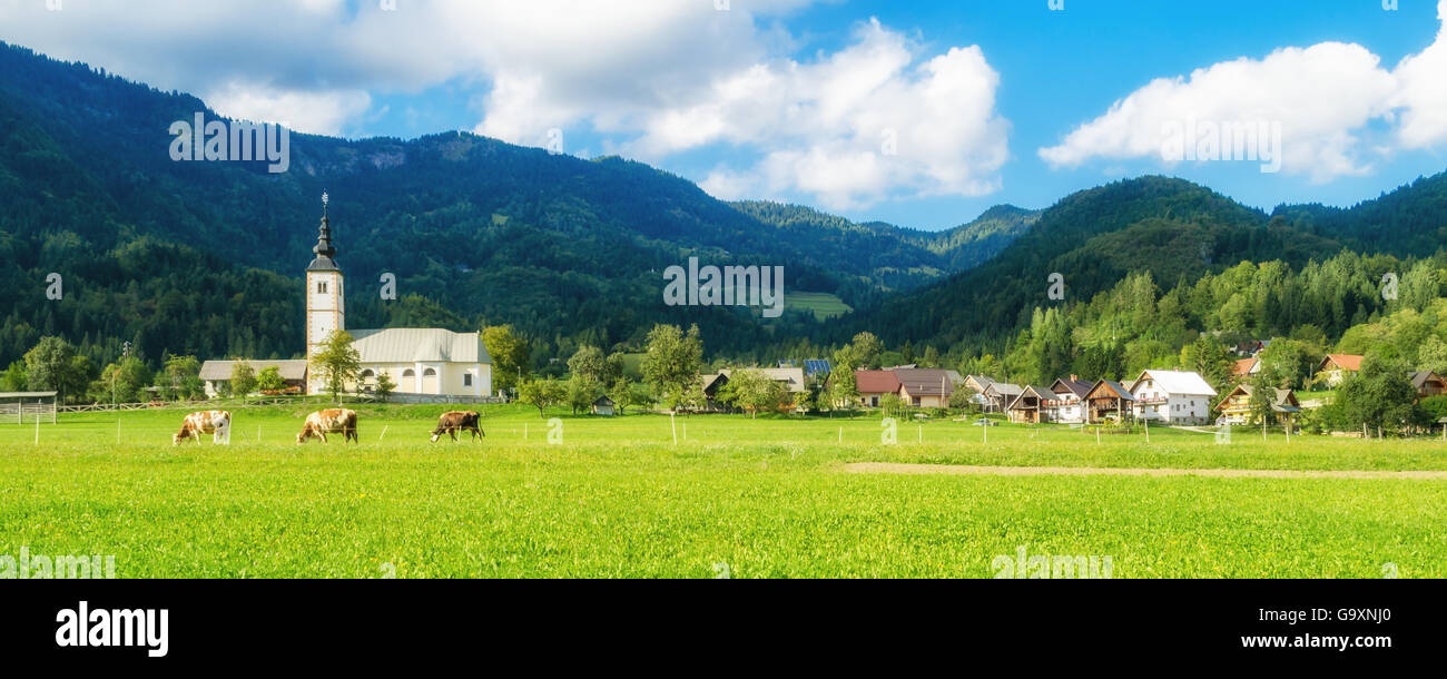 Slowenien, typische Landschaft in der Region Gorenjska Stockfoto