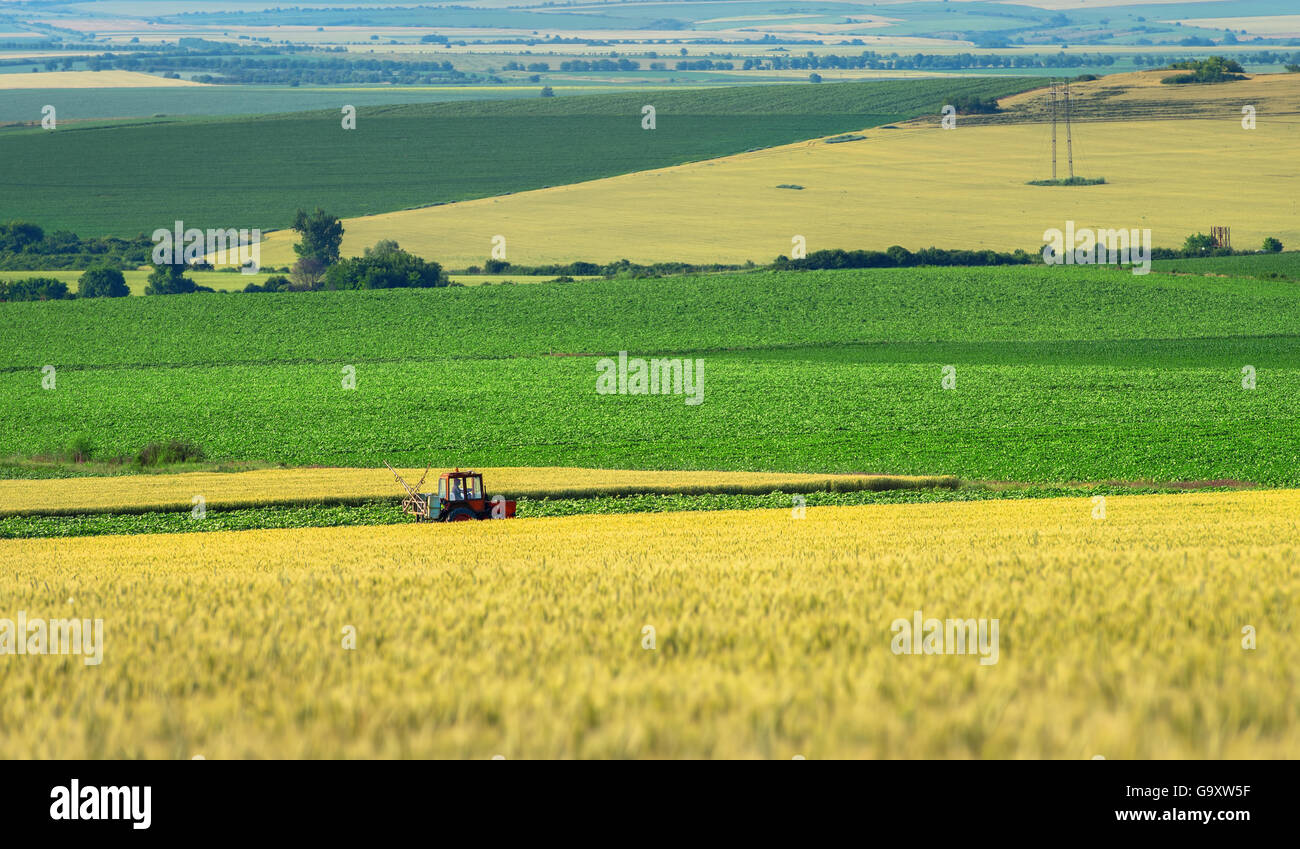 Bauernhof-Maschinerie Spritzen Insektizid auf der grünen Wiese, landwirtschaftliche saisonale Naturquelle Hintergrund Stockfoto