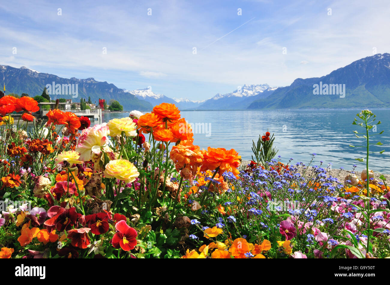 Sommer Blick auf blühende Blumen in Genfersee, Schweiz Stockfotografie -  Alamy