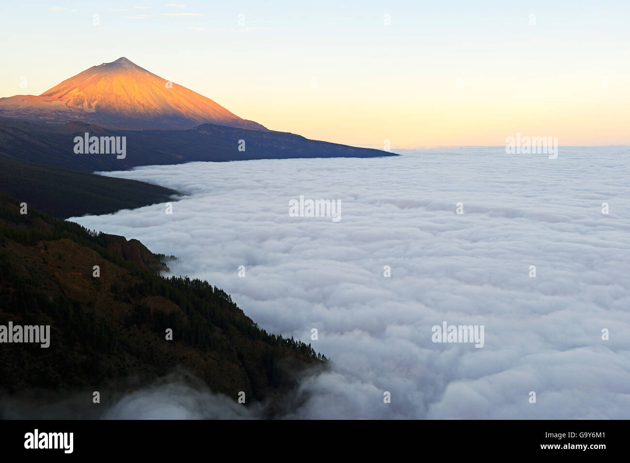 Pico del Teide bei Sonnenaufgang über Passatwolken, Nationalpark Teide, Teneriffa, Kanarische Inseln, Spanien Stockfoto