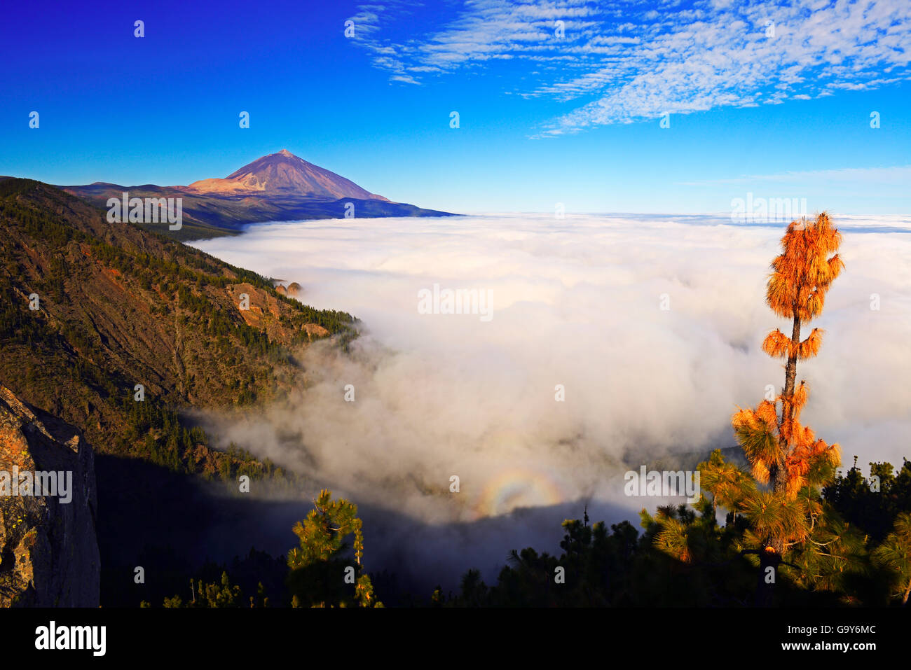 Pico del Teide bei Sonnenaufgang über Passatwolken, Nationalpark Teide, Teneriffa, Kanarische Inseln, Spanien Stockfoto