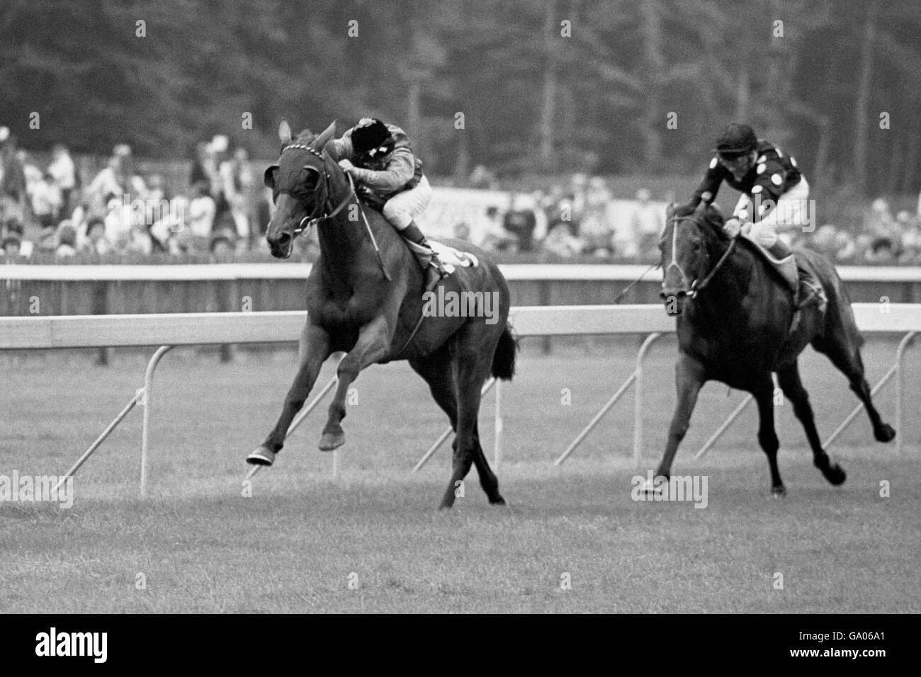 Pferderennen Sie - Prinzessin von Wales Stakes - Newmarket Stockfoto