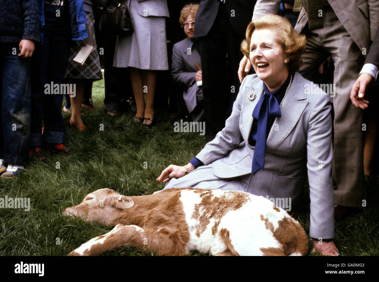 Margaret Thatcher begrüßt Maggie, ein verschlafenes Charolais-Kalb, das erst 12 Stunden alt ist, auf der Willisham Farm, Ipswich, während der Wahltour des konservativen Führers durch East Anglia. Stockfoto