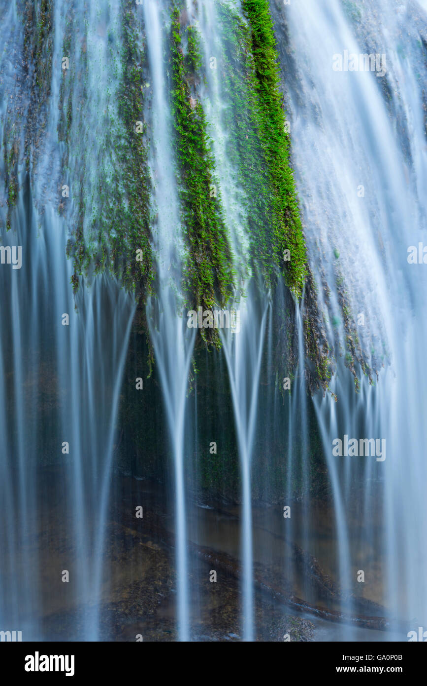 Wasser fließt über Moos, Toberia Wasserfälle, Andoin, Naturpark der Sierra Entzia, Alava, Baskenland, Spanien, April. Stockfoto