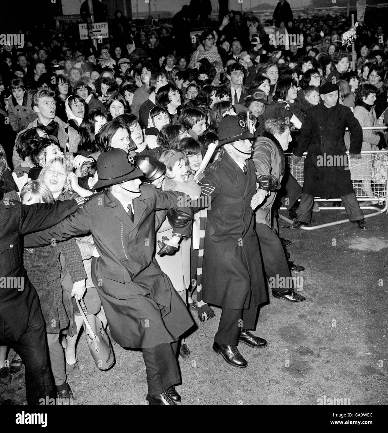 Die Fans drängen auf die zurückhaltenden verbundenen Arme einer Kette zusätzlicher Polizisten, die am Flughafen London Dienst hatten, als die Beatles von einer USA-Tournee zurückkehrten. Stockfoto