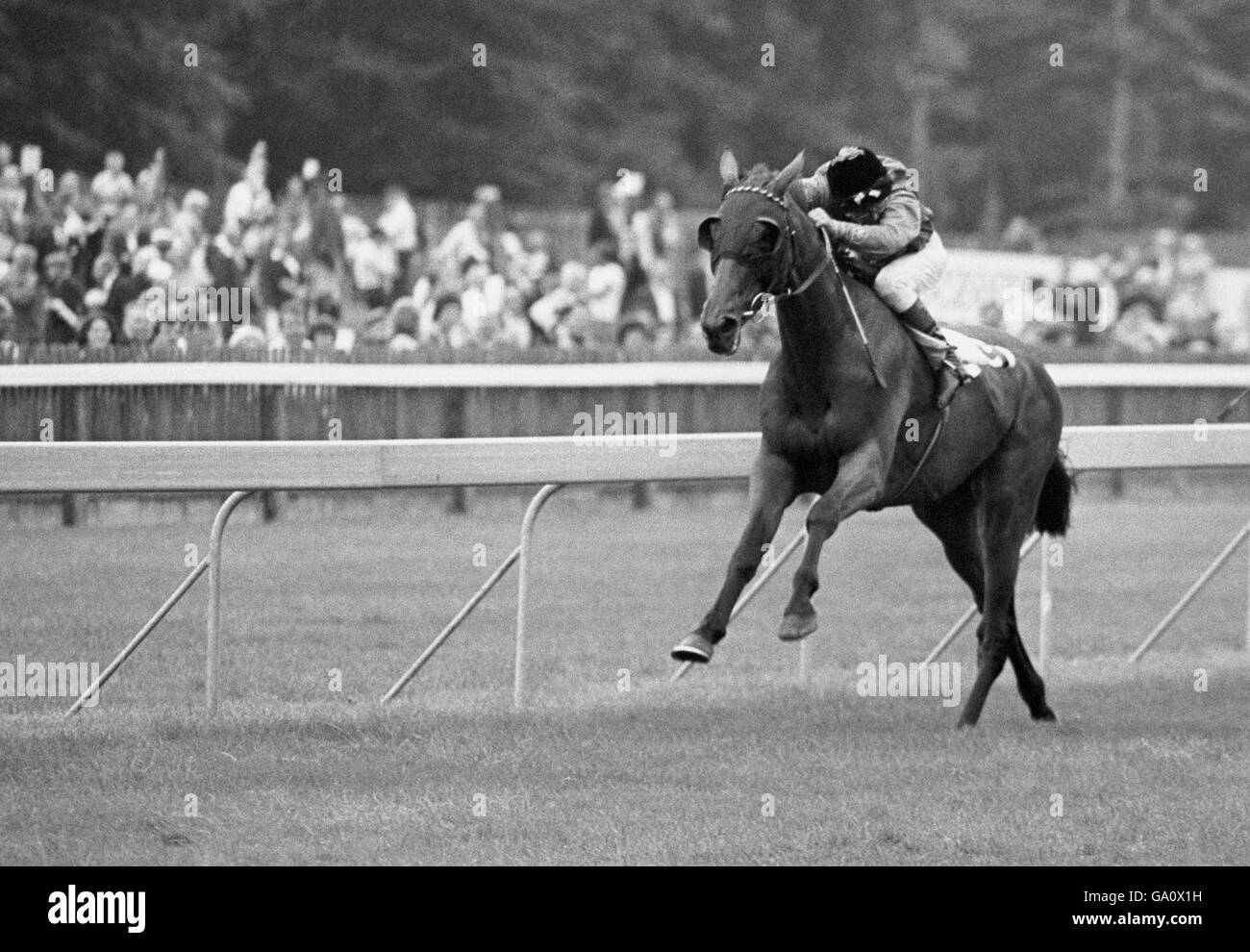 Pferderennen Sie - Höhe der Mode - Prinzessin von Wales Stakes - Newmarket Stockfoto