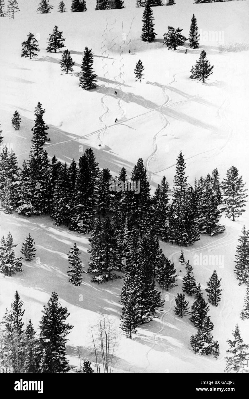 Skifahren. Allgemeiner Blick auf eine Piste im Vail Ski Resort, Colorado Stockfoto