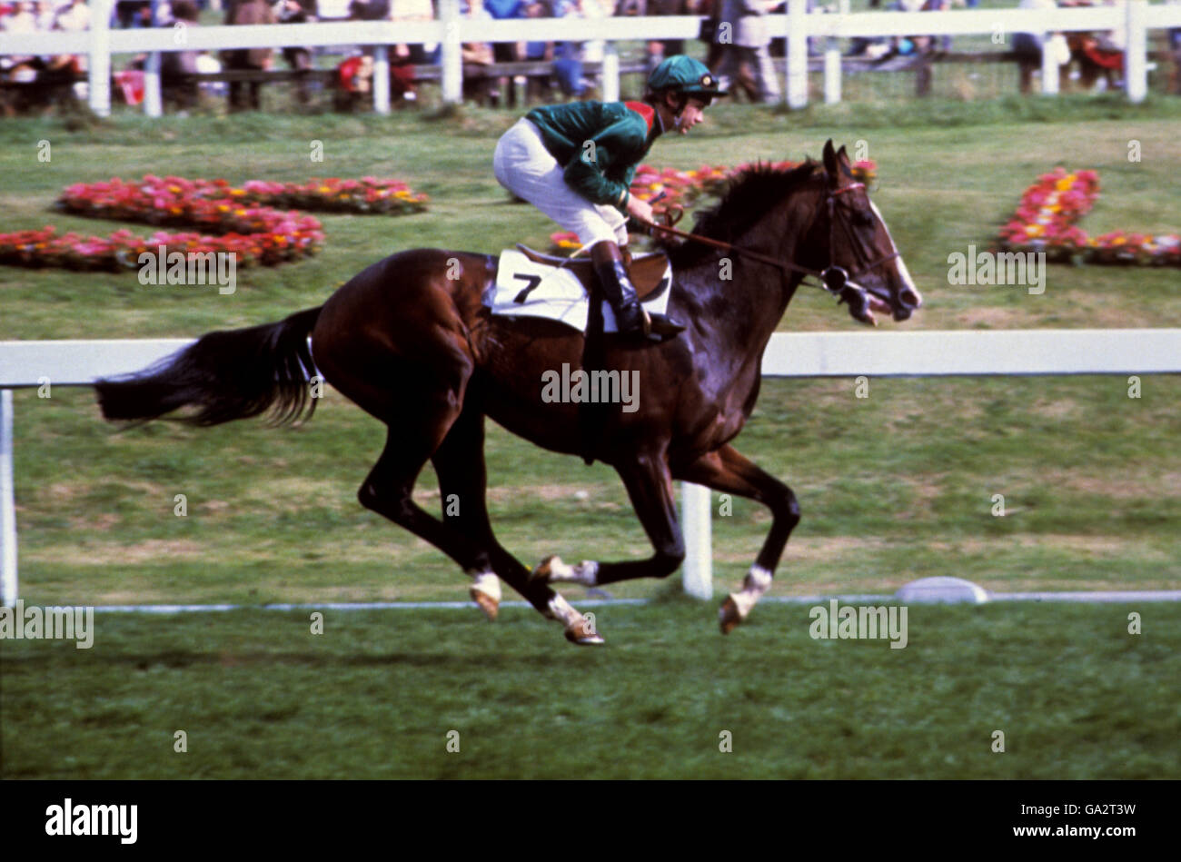 Walter Swinburn auf Shergar in den St. Leger Stakes in Doncaster. Stockfoto