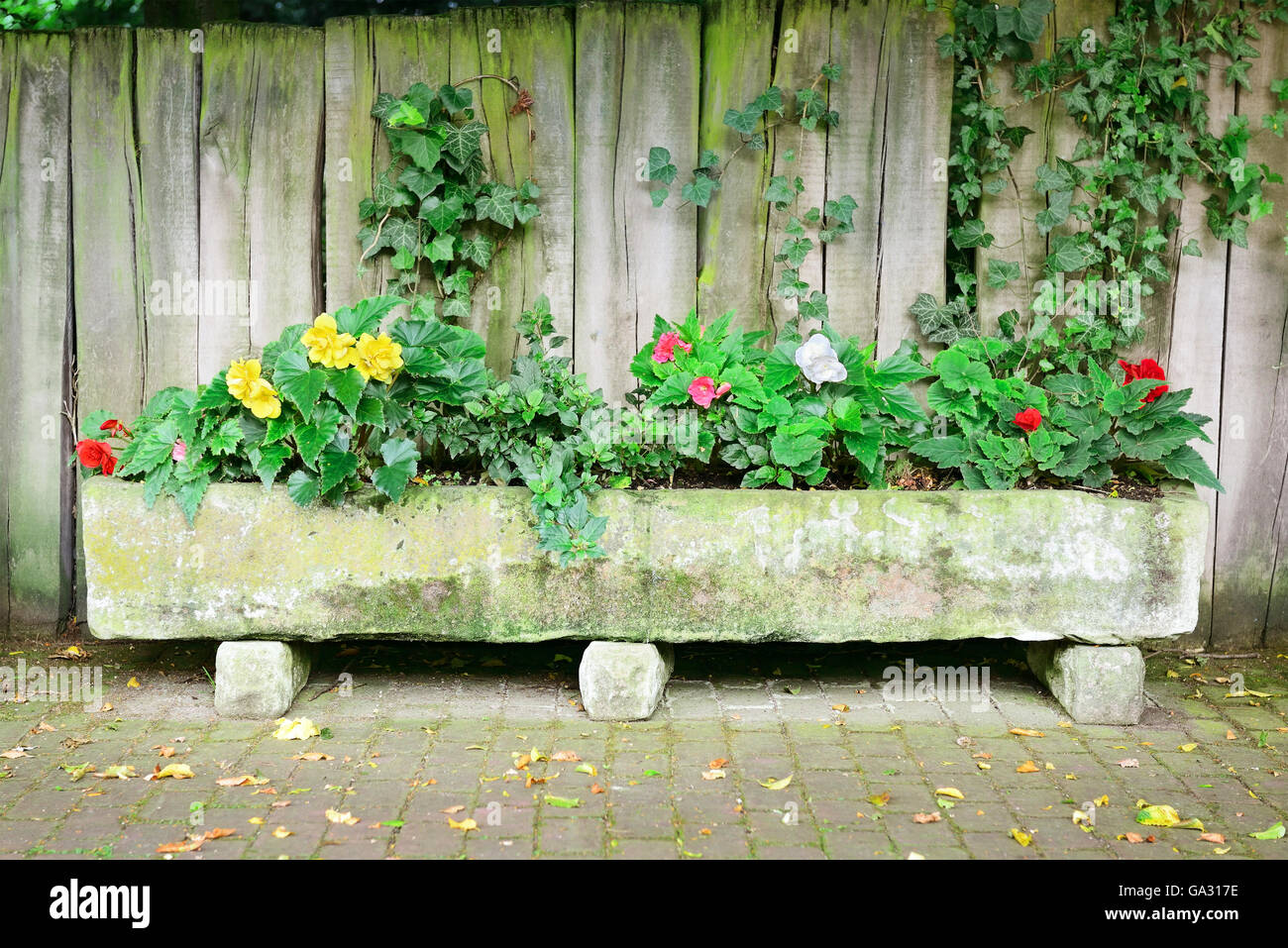 Blumenbeet in der Nähe von Board-Zaun Stockfoto