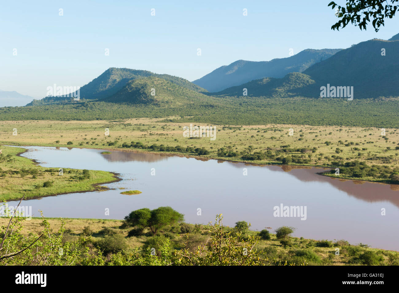 Dindira Damm, Mkomazi Nationalpark, Tansania Stockfoto