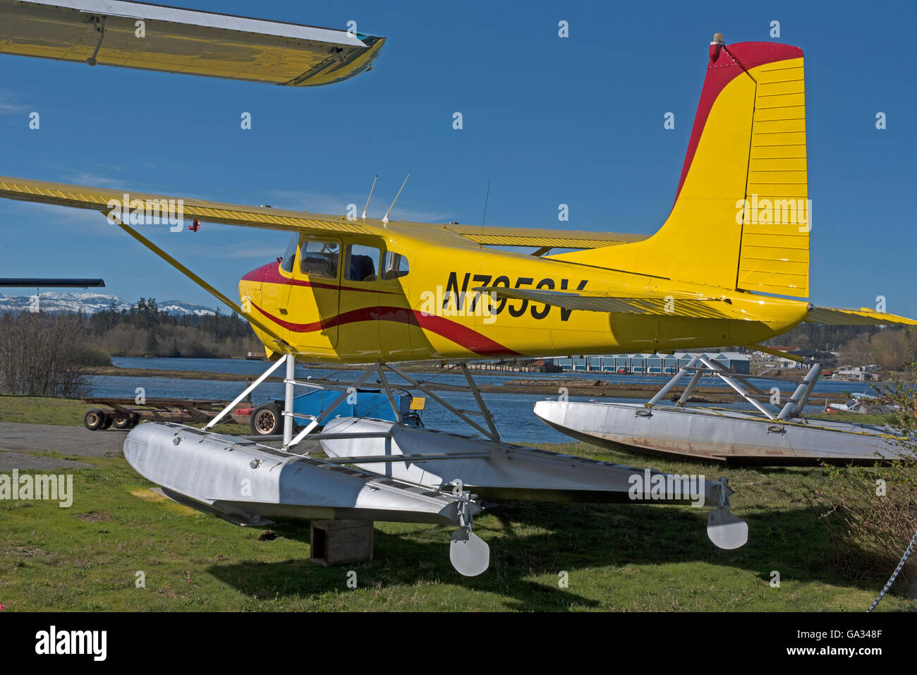 Eine Cessna 180H Flugzeuge ausgerüstet mit amphibischen ermöglicht Schwimmern, Anmeldung N7953V Stockfoto