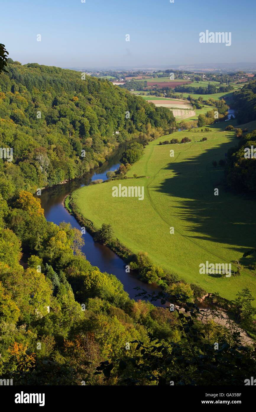 Herbstliche Aussicht Norden Wye Valley von Symonds Yat Rock, Forest of Dean, Herefordshire, England, UK, GB, Europa Stockfoto