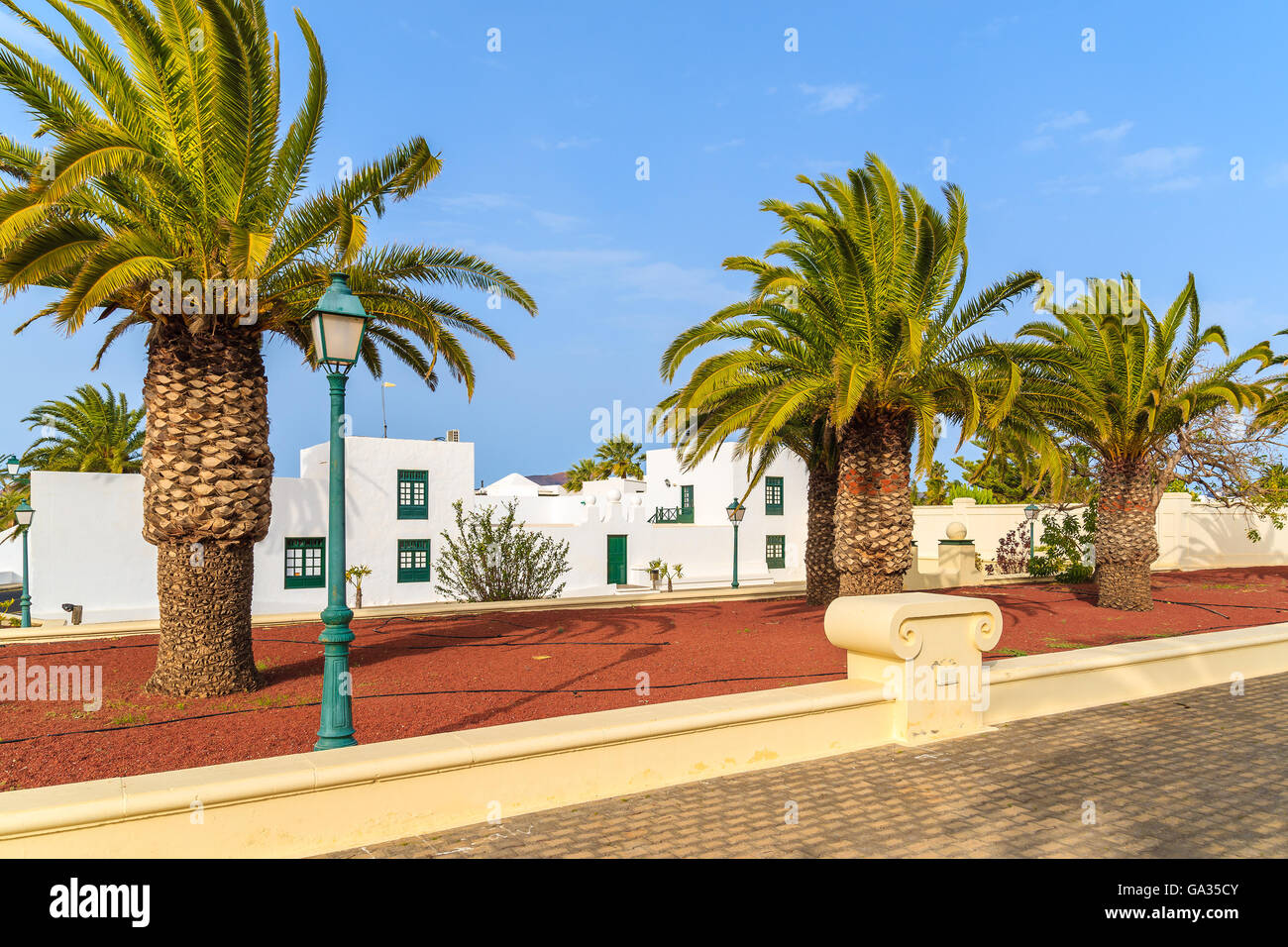 Palmen und weißen Häusern in Yaiza Stadtpark, Insel Lanzarote, Spanien Stockfoto