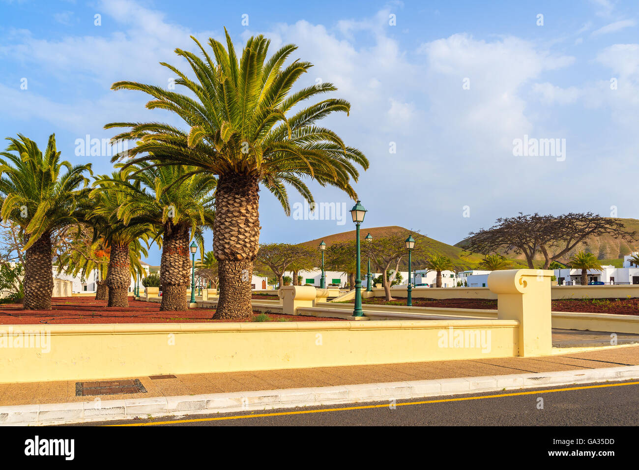 Palmen und weißen Häusern in Yaiza Stadtpark, Insel Lanzarote, Spanien Stockfoto