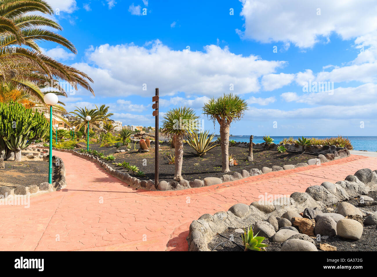 Tropische Pflanzen auf Strandpromenade Playa Blanca, Lanzarote, Kanarische Inseln, Spanien Stockfoto