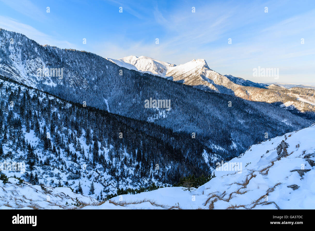 Blick auf den Berg Giewont im frühen Morgenlicht nach Sonnenaufgang in der hohen Tatra, Polen Stockfoto