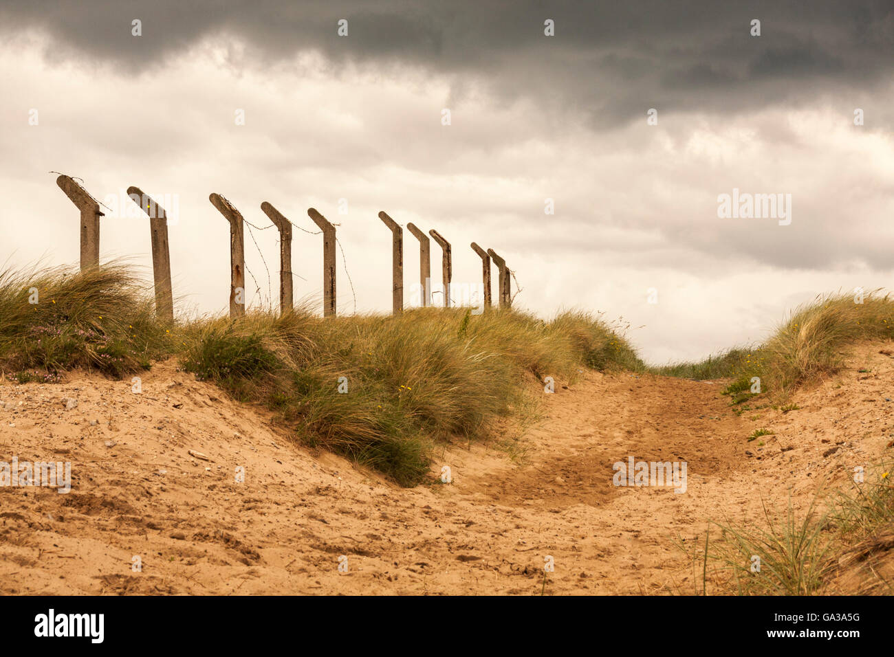 Grasbewachsenen Sanddünen und abgewinkelte Zaunpfosten sowie ein stimmungsvoller Himmel an einem Strand in Hartlepool im Nordosten von England Stockfoto