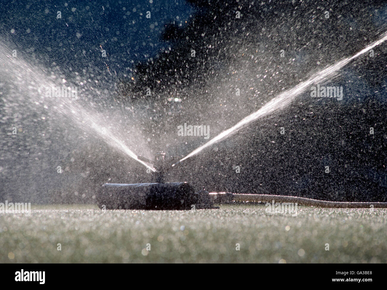 Kommerzielle Sprinkler bewässert Golfplatz grün; Kentucky; USA Stockfoto