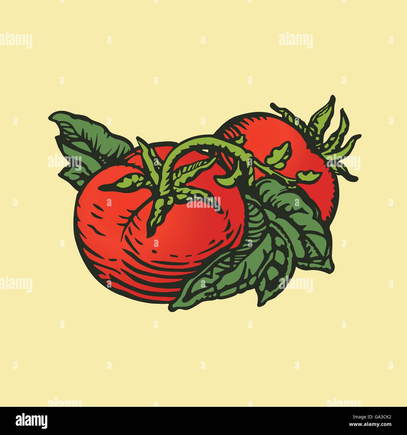 Paar Tomaten in Holzschnitt Druckformat Stockfoto