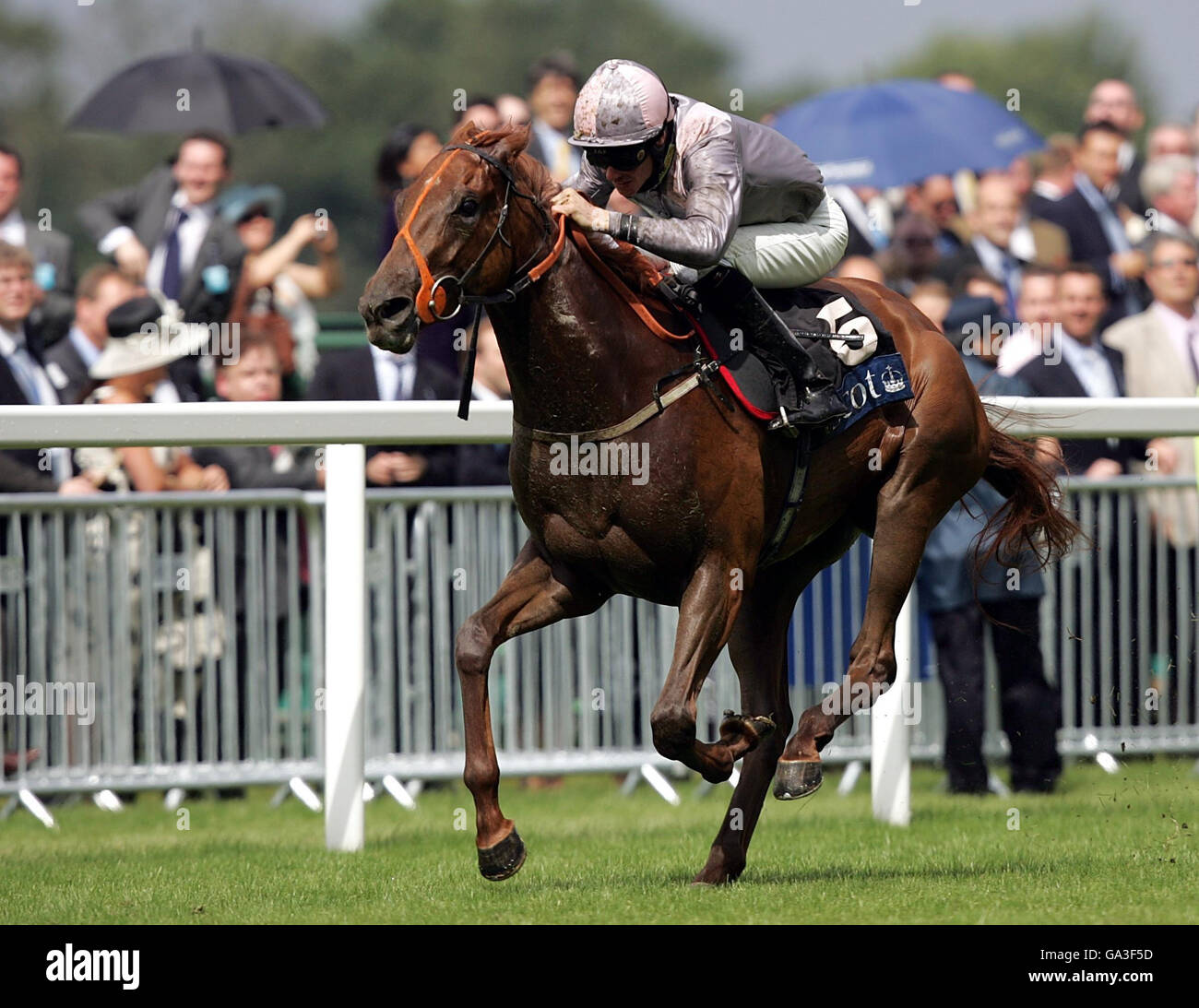 Indian Ink, geritten von Richard Hughes geht auf den Krönungs-Cup auf Ascot Racecourse zu gewinnen. Stockfoto