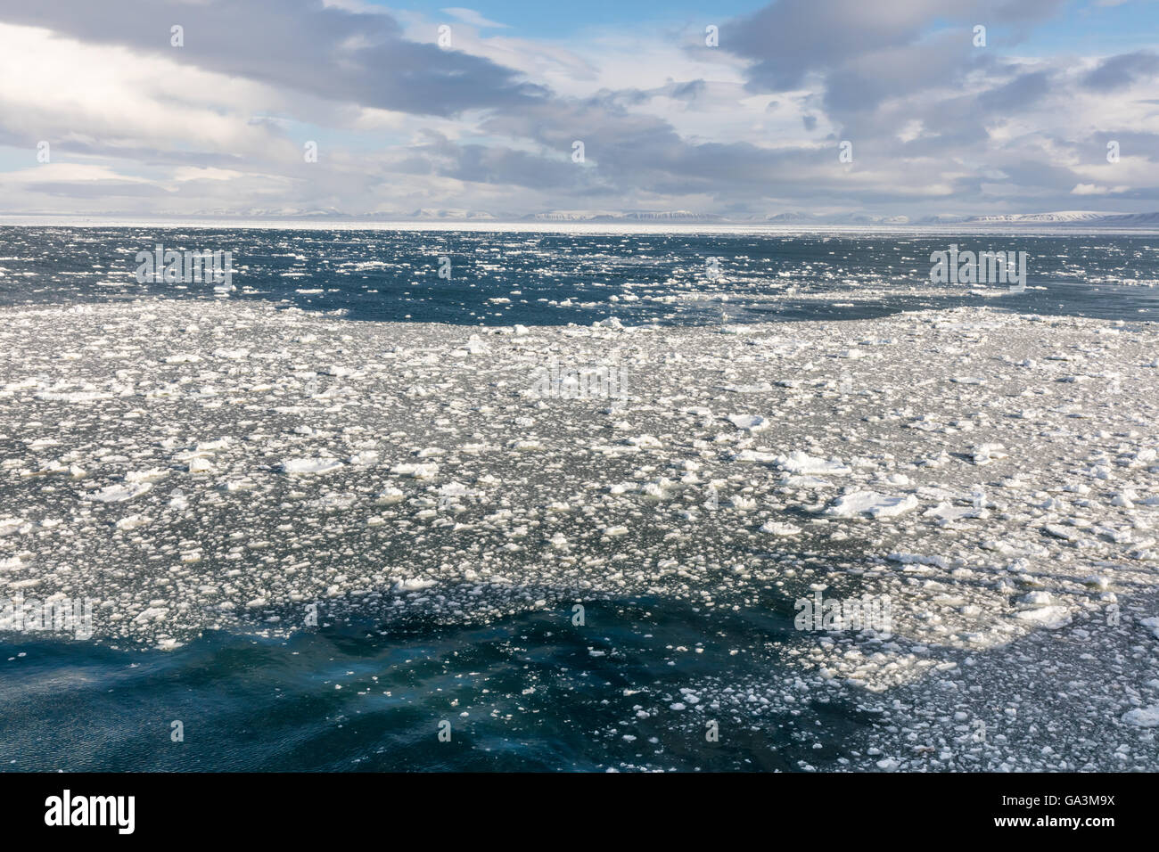 Dreiste Eis im Sonnenlicht in Barents-See in der Nähe von Barentsoya Island, Spitzbergen, Norwegen Stockfoto
