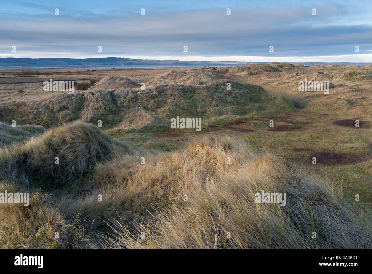 Ein Blick auf die Dünen wissen, wie die Links auf der Heiligen Insel, Northumberland, England. Stockfoto