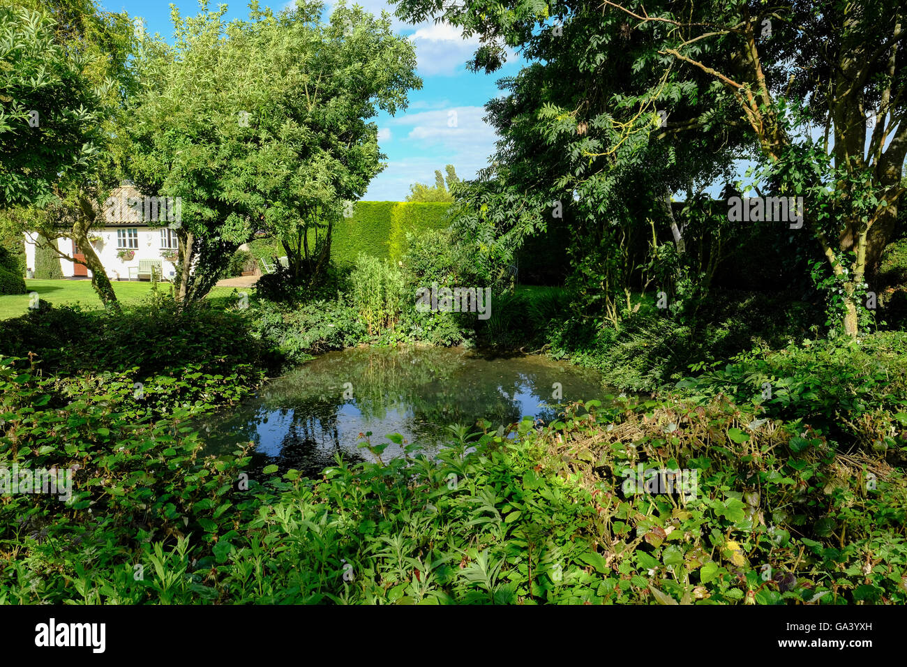 Großer Gartenteich mit der umliegenden Fauna mit dem Bild im Hochsommer