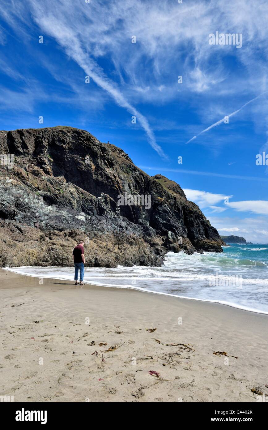 Ein Mann steht am Strand Kynance Cove Cornwall England UK Stockfoto