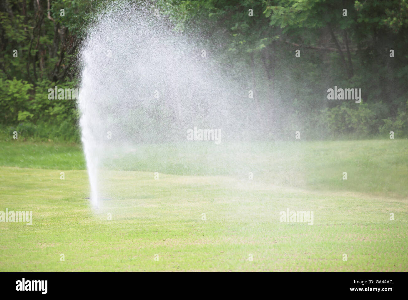 Sprinkler der automatischen Bewässerung auf Golfplatz hautnah Stockfoto