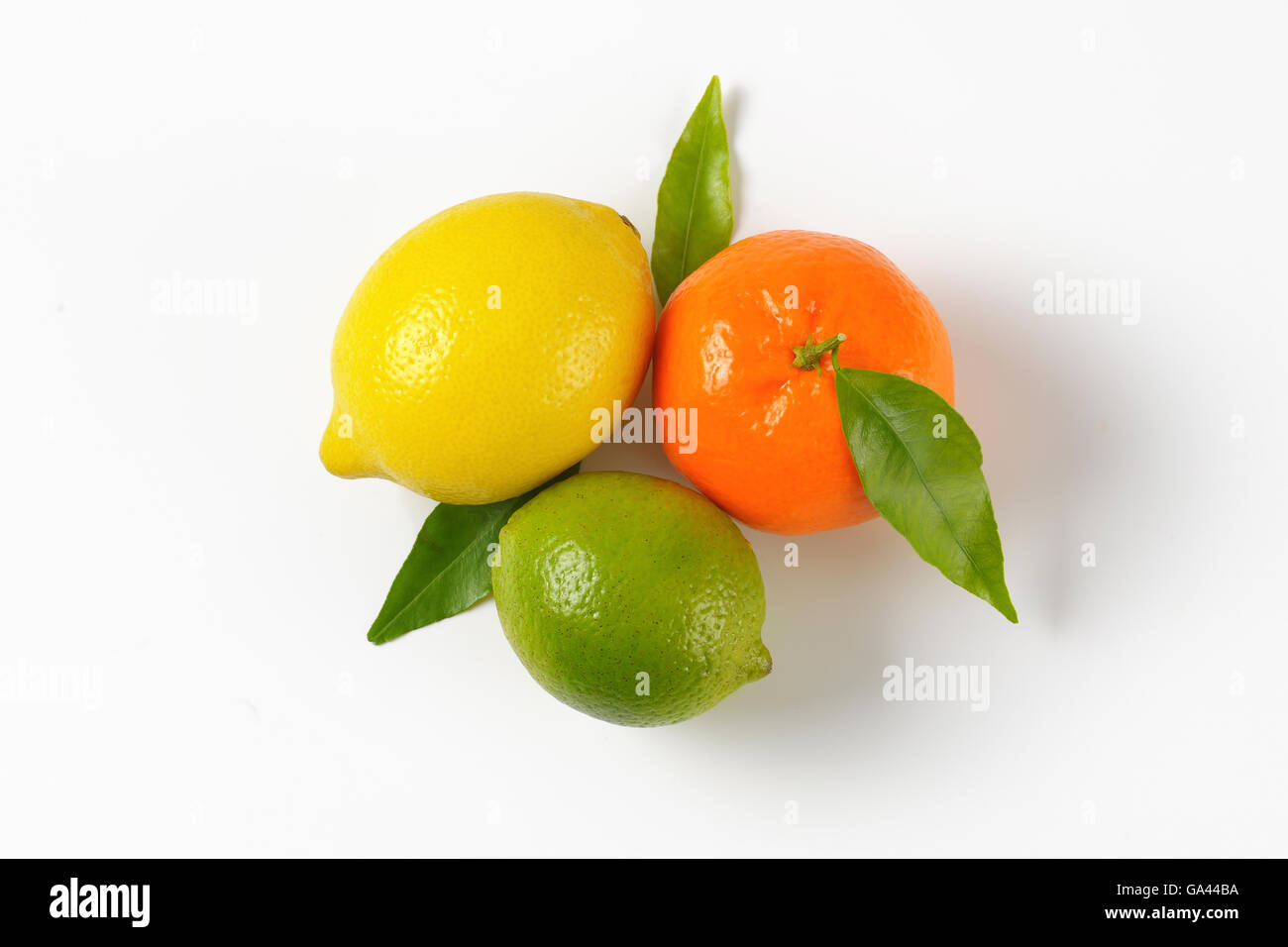 Zitrone, Limette und Mandarine auf weißem Hintergrund Stockfoto