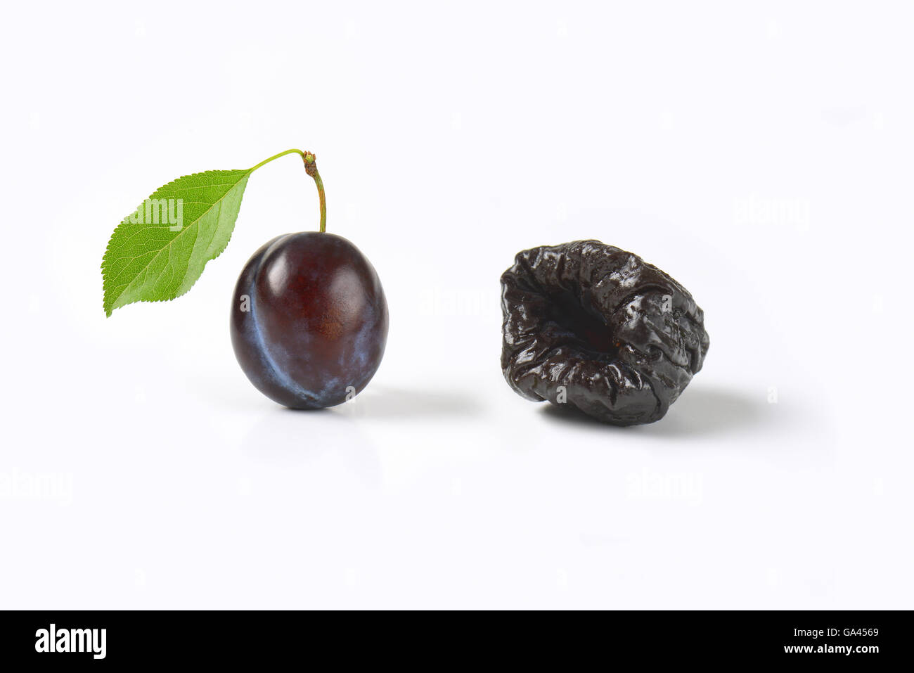 Frische und getrocknete Pflaumen auf weißem Hintergrund Stockfoto