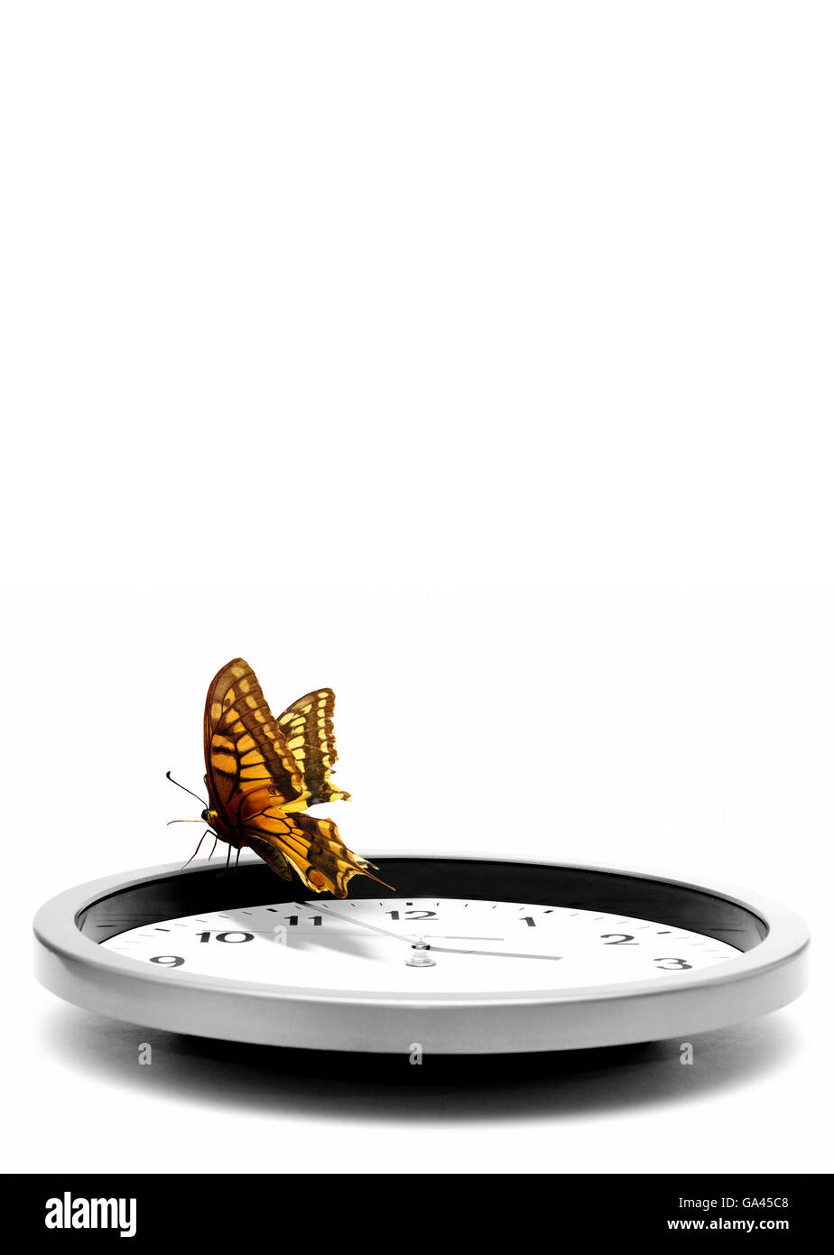 Butterfly stehend auf einer Uhr, Phantasie-Konzept Stockfoto