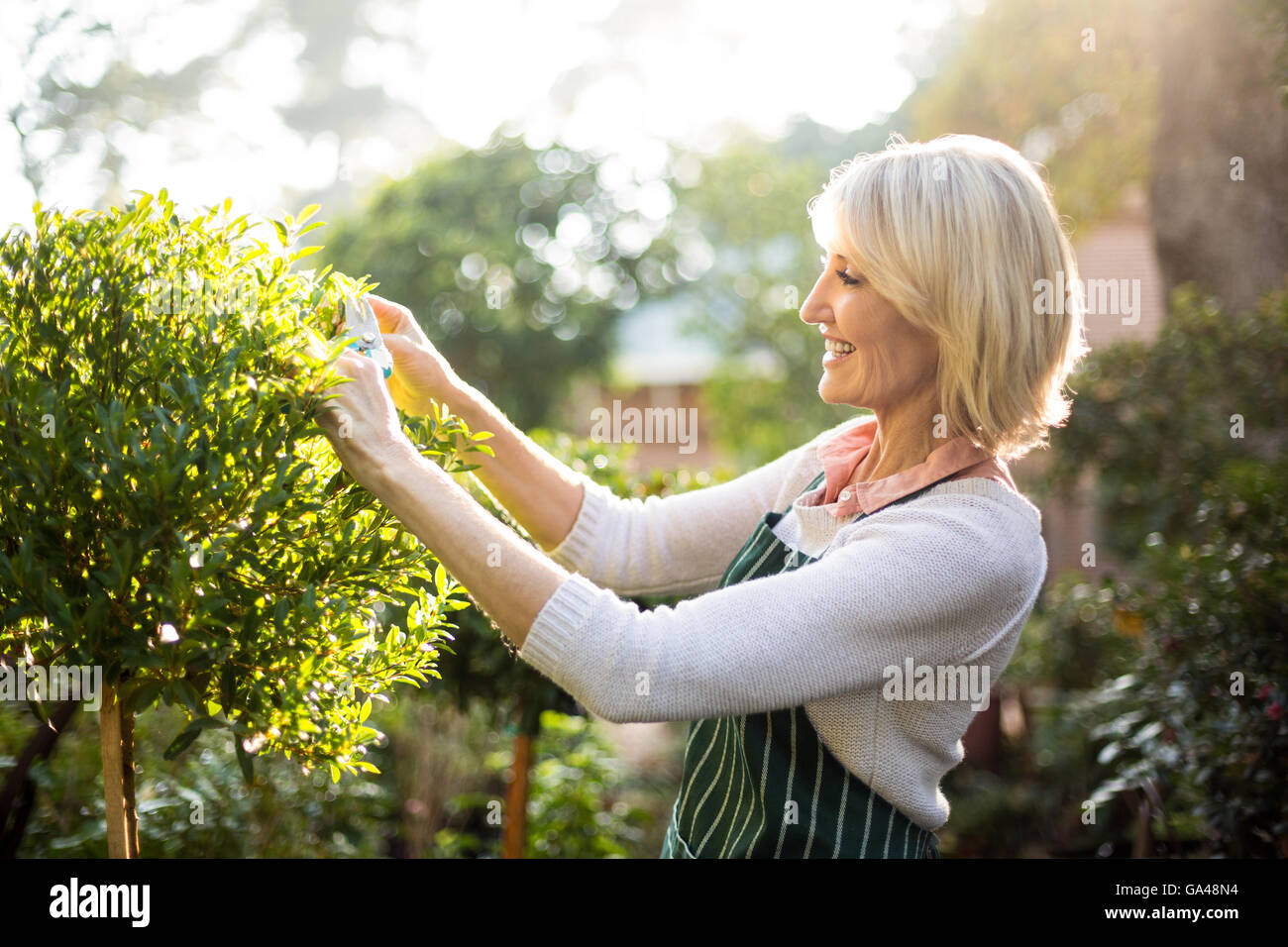 Glücklich weibliche Gärtner beschneiden Pflanzen an sonnigen Tag Stockfoto