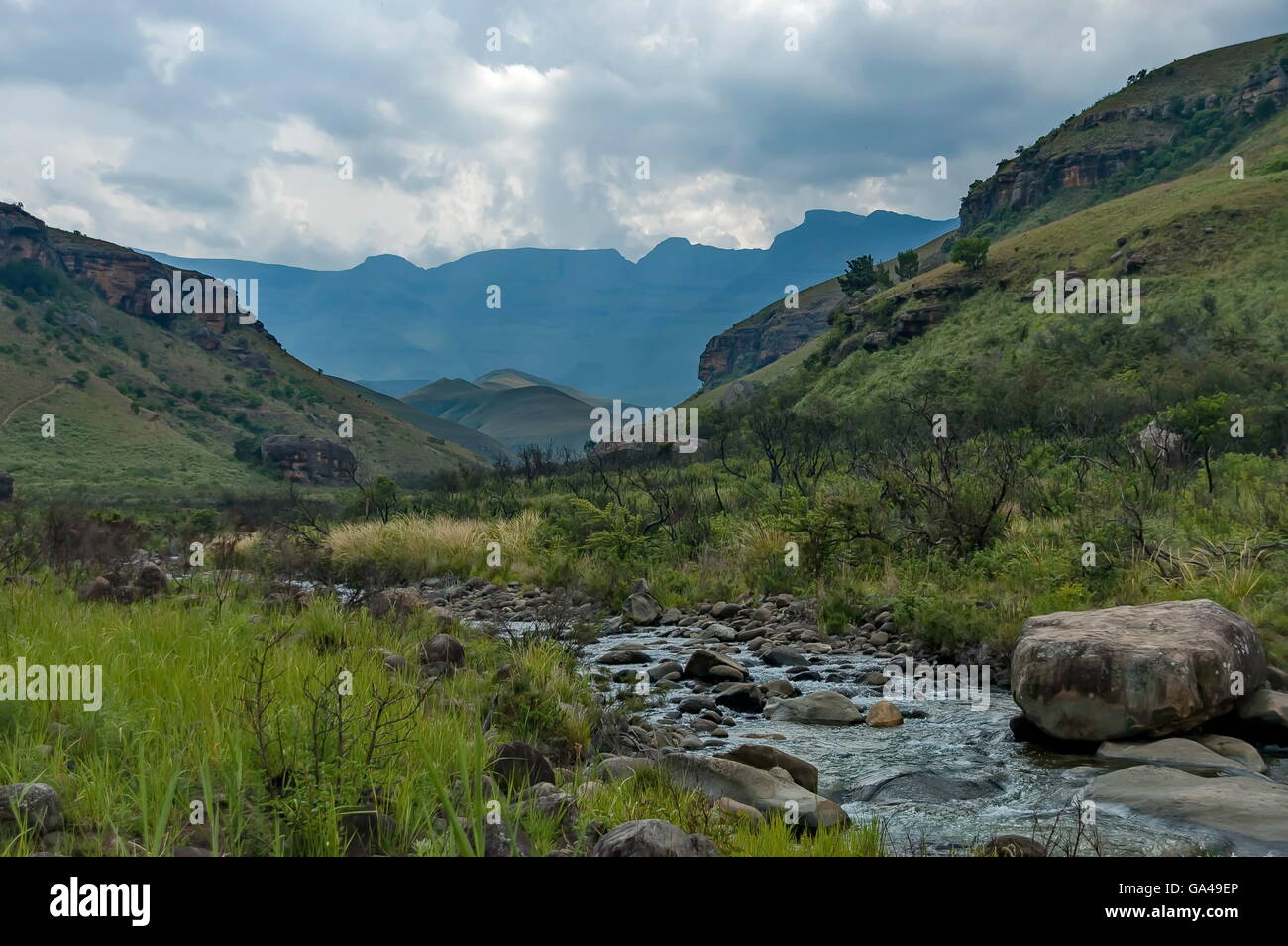 Der Bushmans River Valley in Giants Castle KwaZulu-Natal Natur reserve, Drakensberge Südafrika Stockfoto