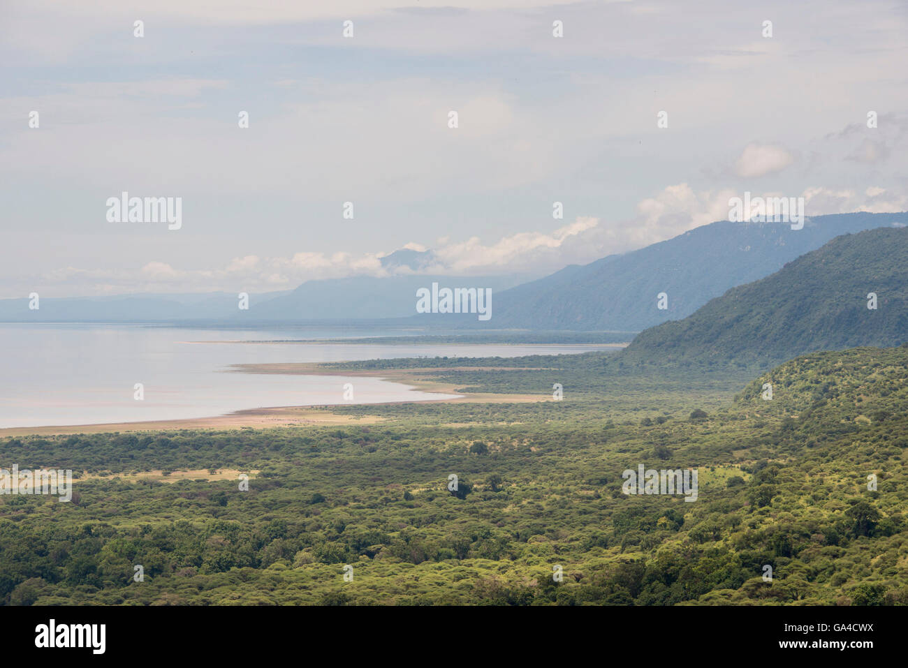 Blick auf Lake Manyara National Park, Tansania Stockfoto