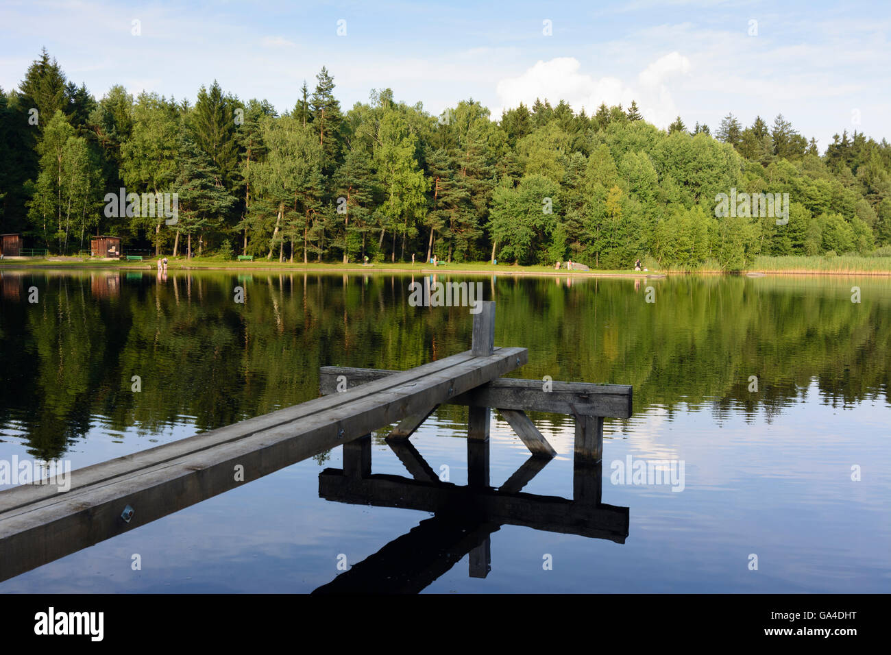 Heidenreichstein See Gemeindeteich mit Mönch (unabhängige Strömung