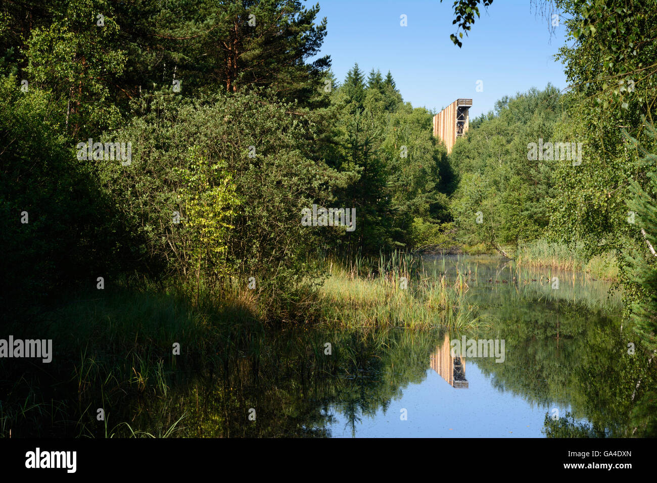 Schrems himmelsleiter jacobs leiter Fotos und Bildmaterial in hoher