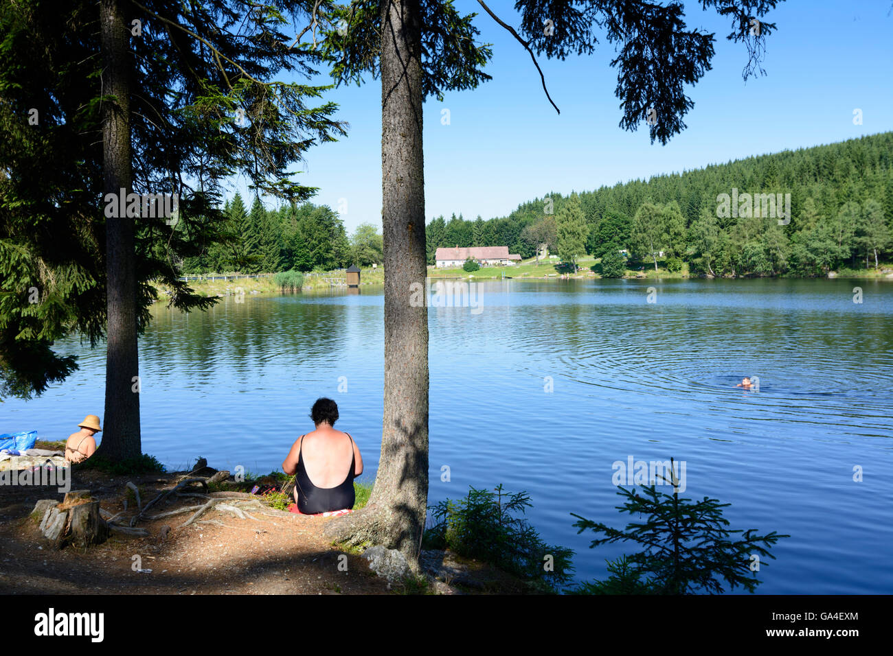 Teich Bärnkopf Schlesingerteich, Badegäste Österreich Niederösterreich