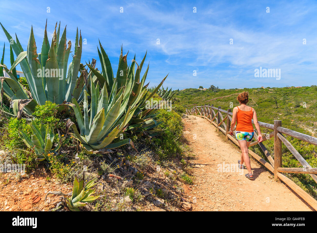 Agave Pflanze und junge Frau Touristen zu Fuß auf dem Felsenweg in der Region Algarve, Portugal Stockfoto