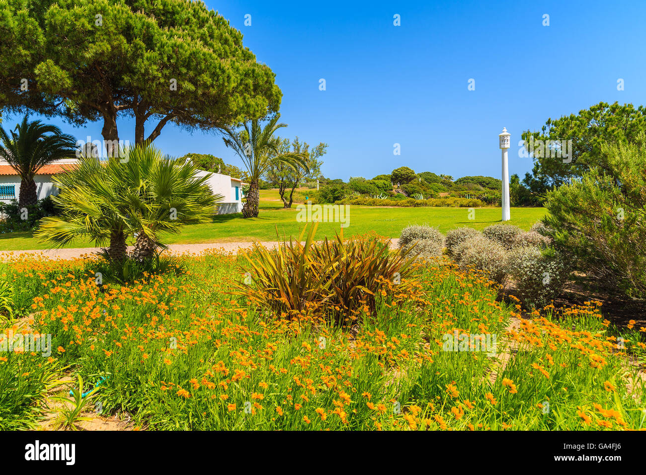 Blumen im grünen Park von Alvor Stadt, Region Algarve, Portugal Stockfoto